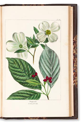 (BOTANY.) Michaux, F. Andrew; and Nuttall, Thomas. The North American Sylva. [and] The North American Sylva... Not Described
